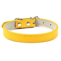 Basic Adjustable Pet Collar, Multiple Colors & Sizes – Daxwell™