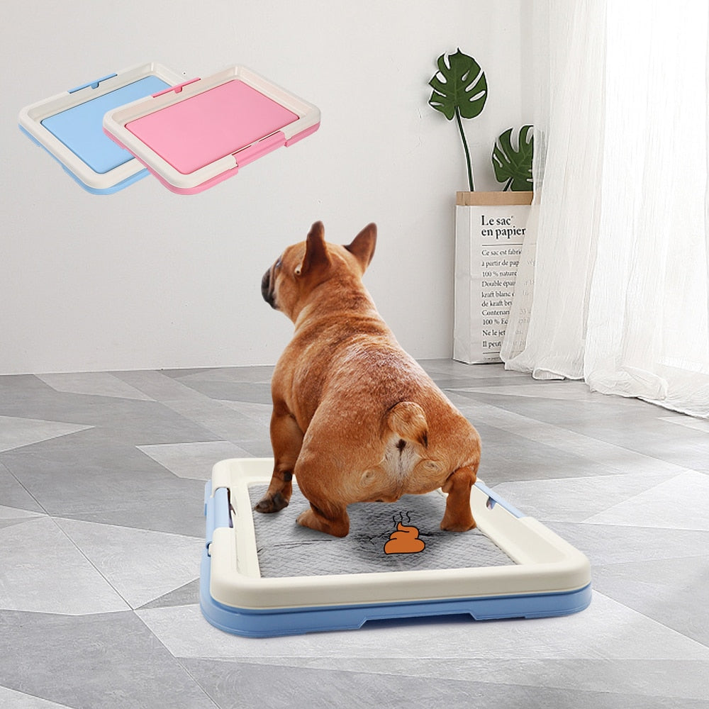Plastic Pet Potty Tray for Dogs & Cats – Klenzo™