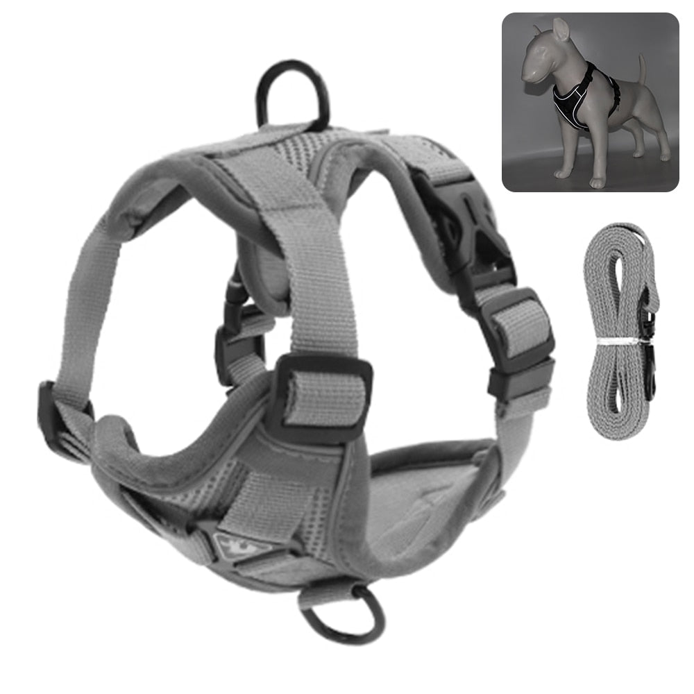 Reflective Collar and Leash Set for Dogs and Cats – ClipWalk™
