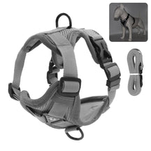 Reflective Collar and Leash Set for Dogs and Cats – ClipWalk™