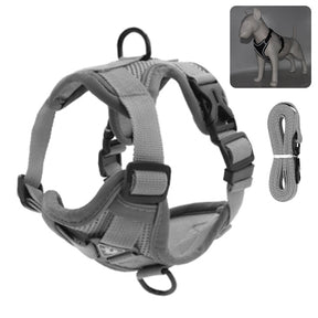 Reflective Collar and Leash Set for Dogs and Cats – ClipWalk™