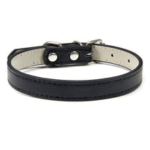 Basic Adjustable Pet Collar, Multiple Colors & Sizes – Daxwell™