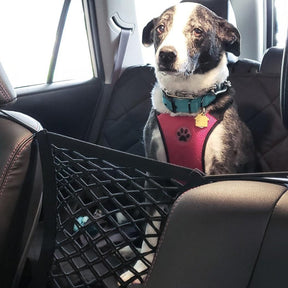 Car Pet Barrier Mesh Safety Net – RoadGuard™