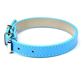 Basic Adjustable Pet Collar, Multiple Colors & Sizes – Daxwell™