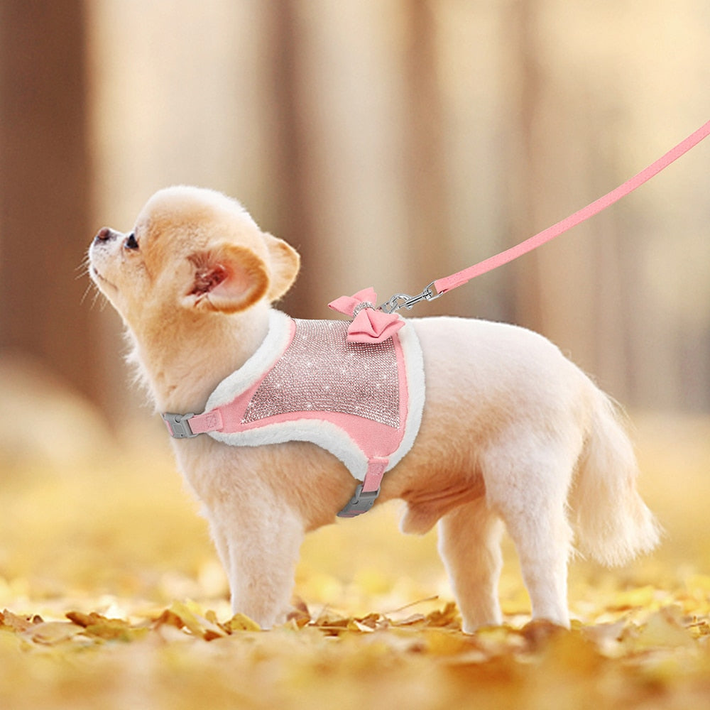 Cotton Pet Collar & Leash Set – Soft Everyday Walk Essentials – Loopwell™