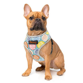 Reflective Adjustable Vest Harness for Small & Medium Pets – Havlyn™