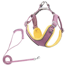 Reflective Pet Harness & Leash Set in Polyester – Hailey
