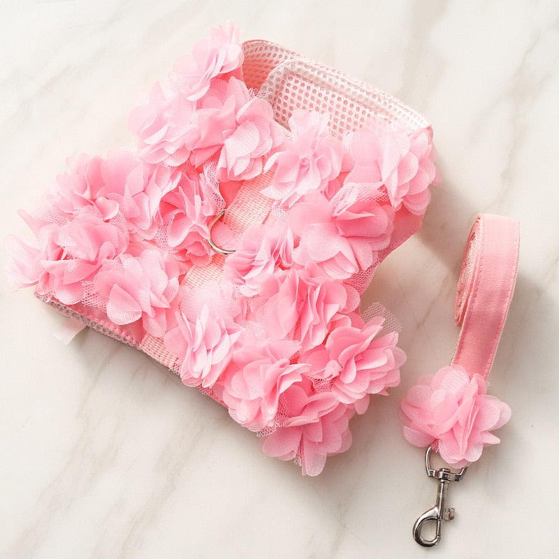 Floral Print Dog Collar & Leash Set, Small to Large – Petalo™