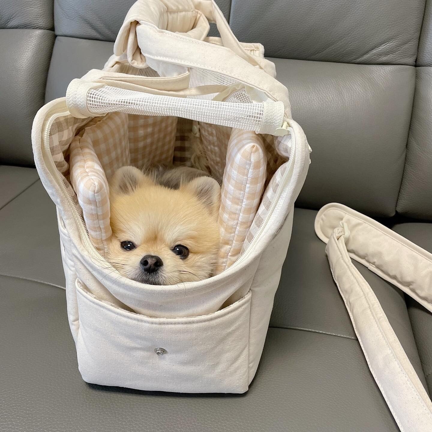 Pet Carrier Bag with Open Window Design & Side Pockets – Wispel™