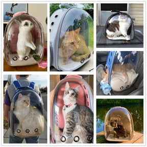 Panoramic View Pet Carrier Backpack for Dogs & Cats – Panora™