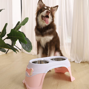 Ergonomic Elevated Pet Bowl Set with Non-Slip Stand – Levaro™