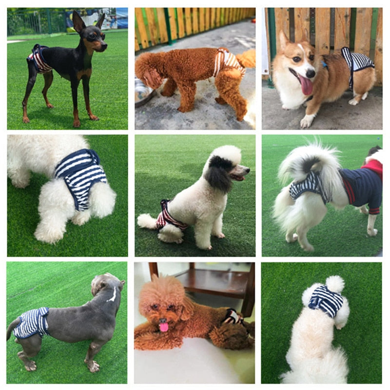 Striped Washable Dog Diaper for Urinary Incontinence – Quilby™