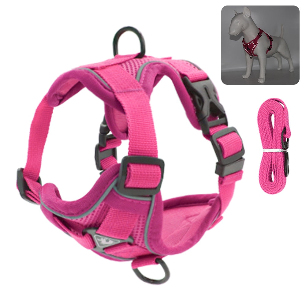 Reflective Collar and Leash Set for Dogs and Cats – ClipWalk™