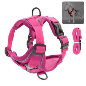 Reflective Collar and Leash Set for Dogs and Cats – ClipWalk™