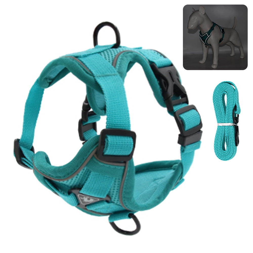 Reflective Collar and Leash Set for Dogs and Cats – ClipWalk™
