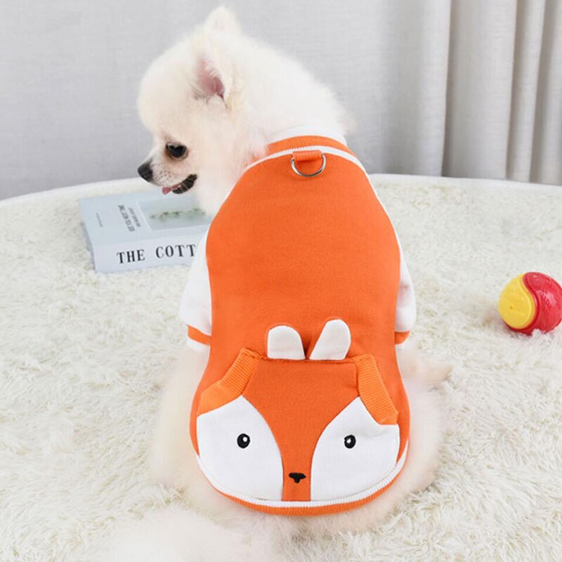 Cartoon Pet Outfit & Matching Leash Set – Fuzzo™