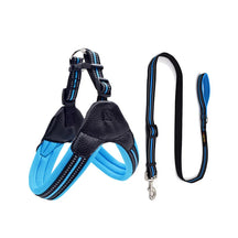 Padded Leather Chest Harness & Leash Set with Reflective Strip – Loxby™