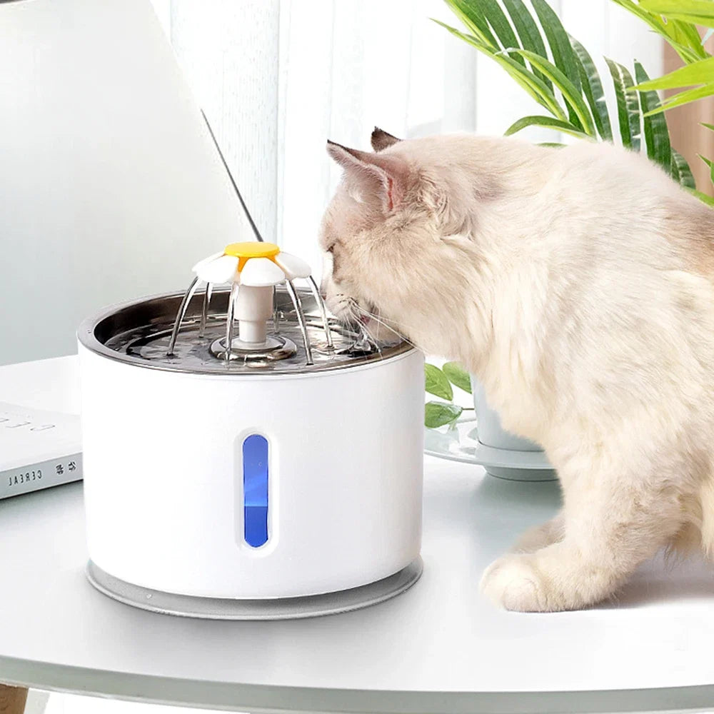 Automatic Pet Water Fountain with Carbon Filter & LED – Fontira™