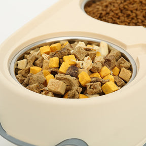 Ergonomic Elevated Pet Bowl Set with Non-Slip Stand – Levaro™