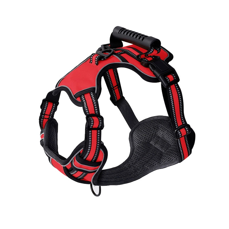 Adjustable Harness Collar for Small to Large Dogs – Nimro™