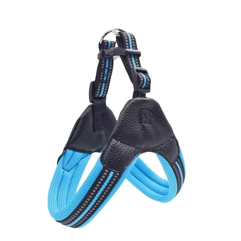 Padded Leather Chest Harness & Leash Set with Reflective Strip – Loxby™