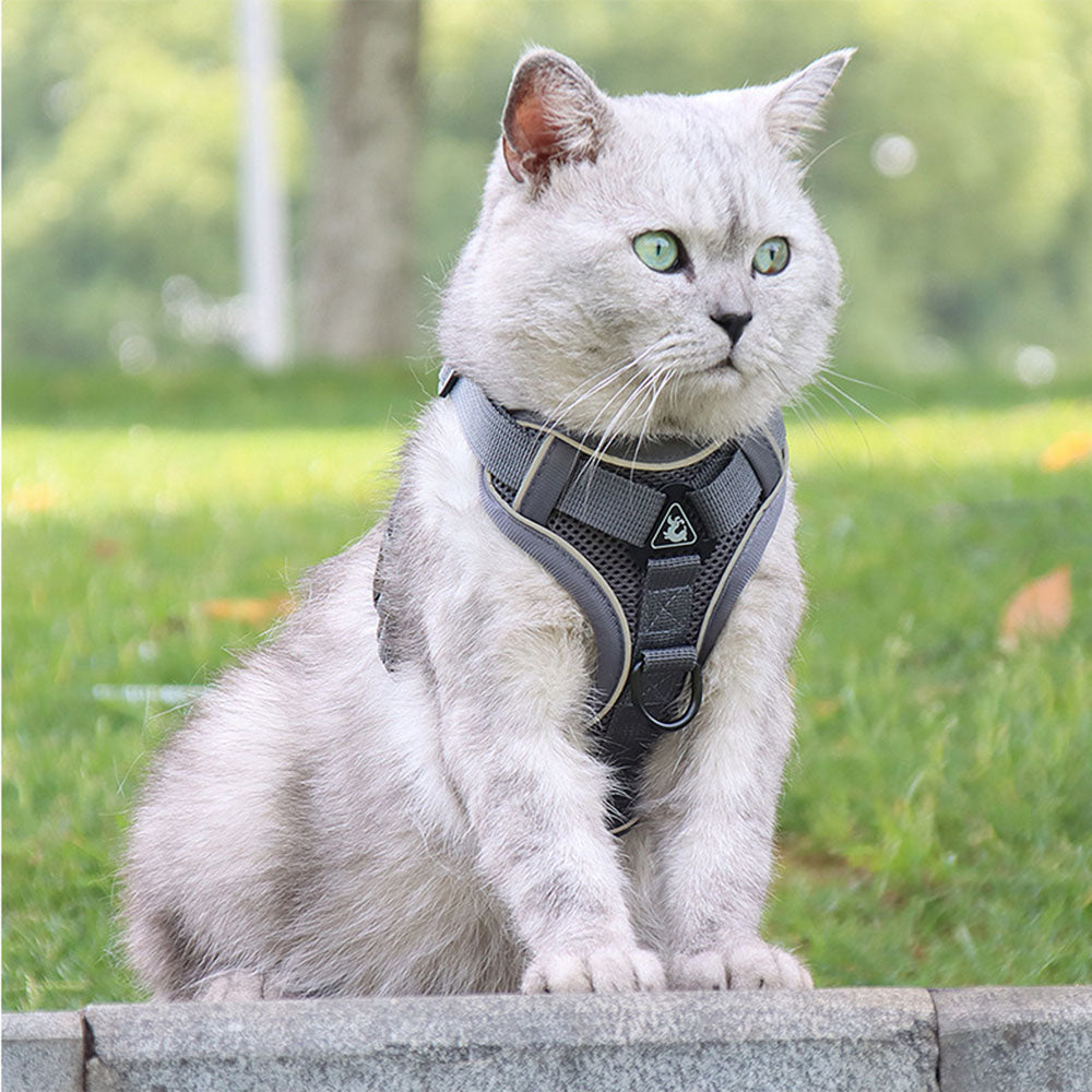 Reflective Collar and Leash Set for Dogs and Cats – ClipWalk™