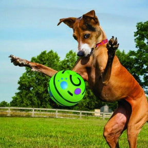 Interactive Giggle Sound Ball Dog Toy with Easy-Grip Design – Gigglo™