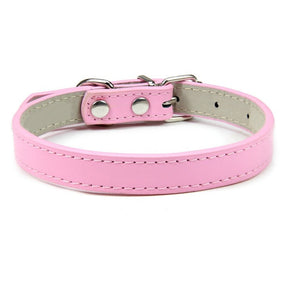 Basic Adjustable Pet Collar, Multiple Colors & Sizes – Daxwell™