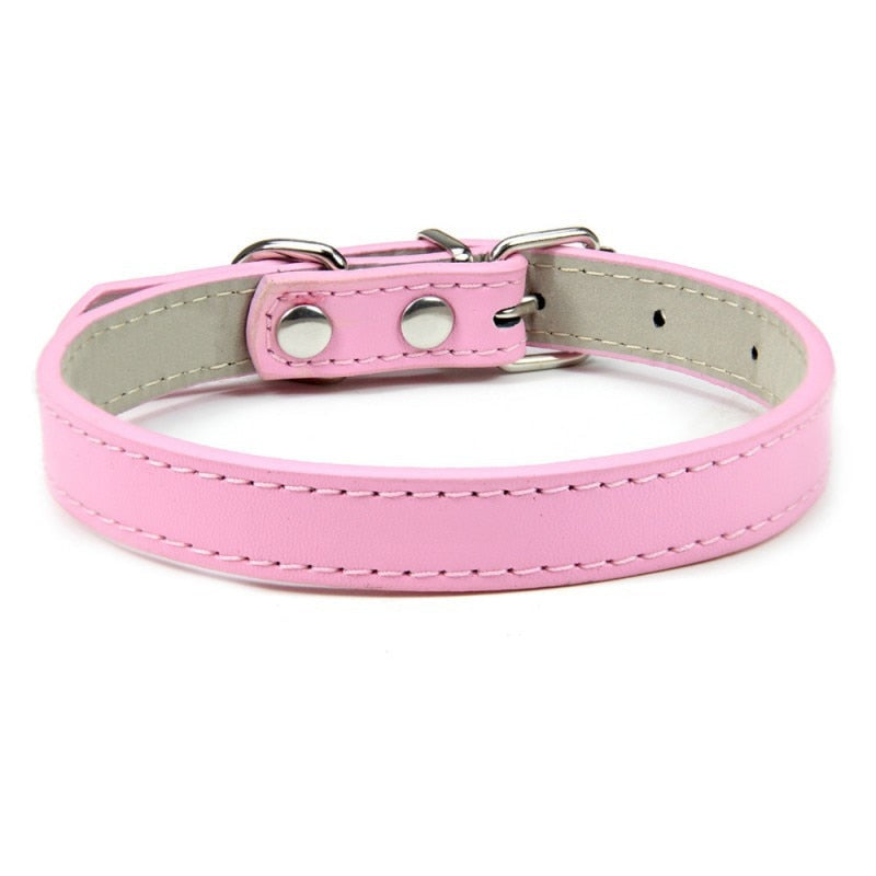 Basic Adjustable Pet Collar, Multiple Colors & Sizes – Daxwell™