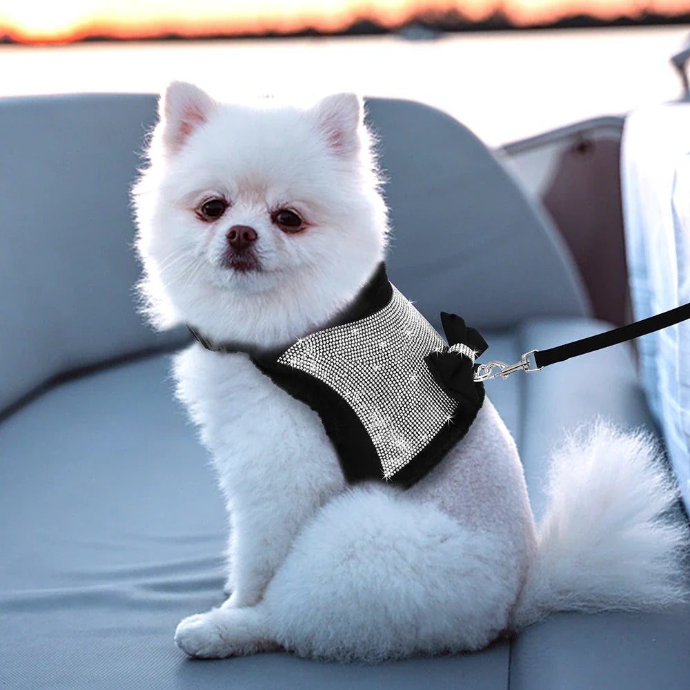 Cotton Pet Collar & Leash Set – Soft Everyday Walk Essentials – Loopwell™