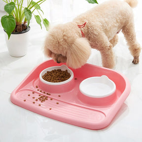 Double Pet Bowl Set with Divided Design for Dogs & Cats – Platterly™