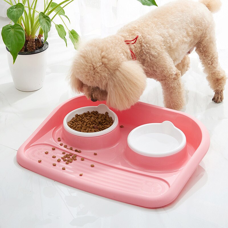 Double Pet Bowl Set with Divided Design for Dogs & Cats – Platterly™