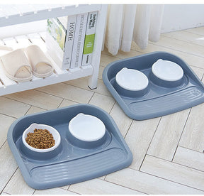 Double Pet Bowl Set with Divided Design for Dogs & Cats – Platterly™