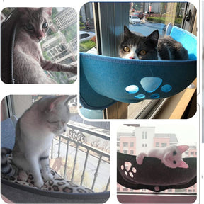 Suspended Cat Window Perch with Suction Cups – Ledgo™