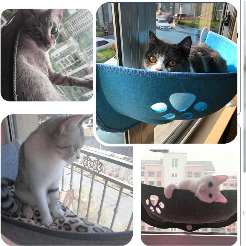 Suspended Cat Window Perch with Suction Cups – Ledgo™
