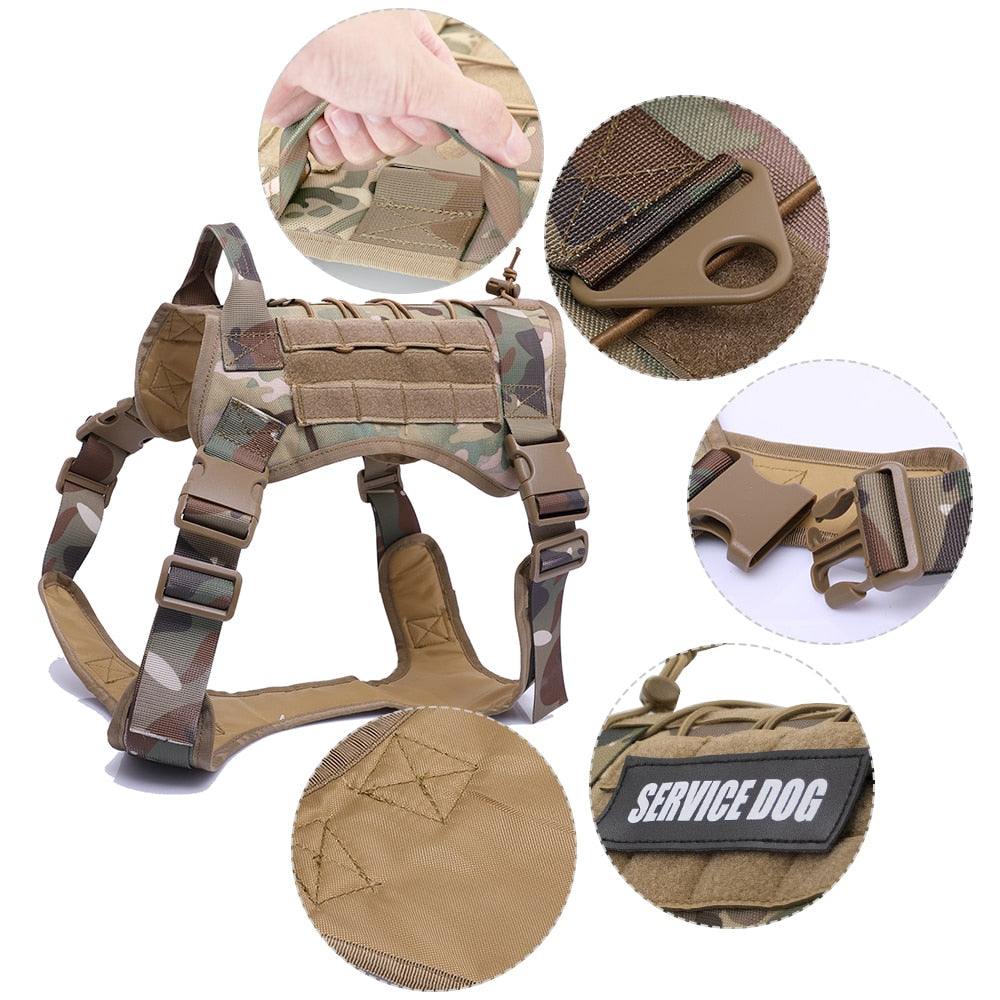 Nylon Chest Harness & Leash Training Set for Medium to Large Dogs – FieldRun™