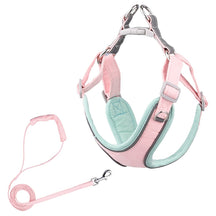 Reflective Pet Harness & Leash Set in Polyester – Hailey