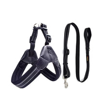 Padded Leather Chest Harness & Leash Set with Reflective Strip – Loxby™