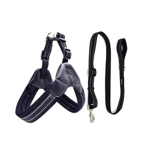 Padded Leather Chest Harness & Leash Set with Reflective Strip – Loxby™