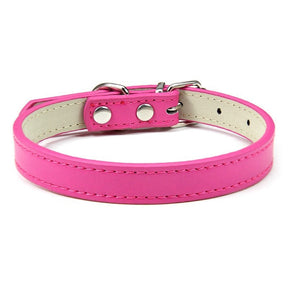 Basic Adjustable Pet Collar, Multiple Colors & Sizes – Daxwell™