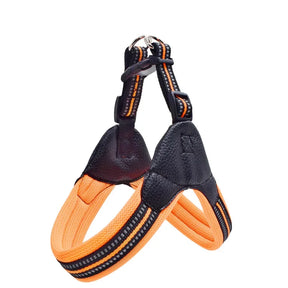 Padded Leather Chest Harness & Leash Set with Reflective Strip – Loxby™