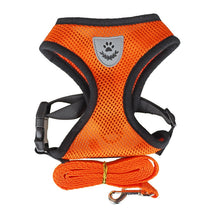 Polyester Pet Harness & Leash Set – Pawsway™