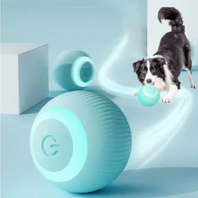 Self-Rolling Automatic Ball Pet Toy with USB Charging – Zumio™