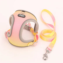 Collar & Leash Set with Reflective Strip for Dogs & Cats – Wagloop™