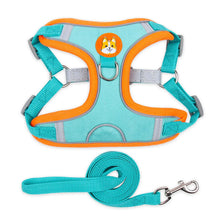 Polyester Mesh Dog Collar & Leash Set for Small to Large Dogs – Nokwell™