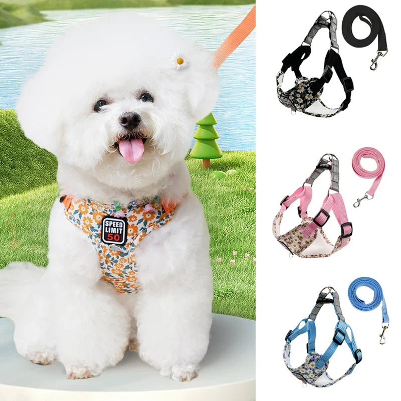 Adjustable Reflective Nylon Dog Collar & Leash Set – Trekly™