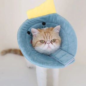 Padded Elizabethan Recovery Collar for Pets – ComfyCone™