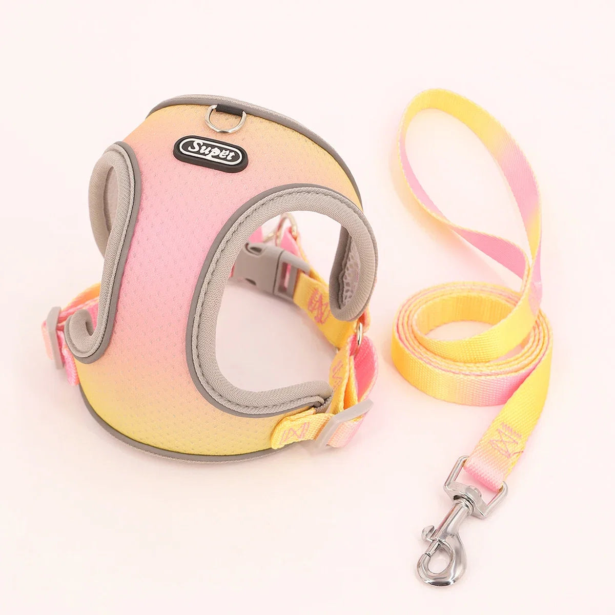 Collar & Leash Set with Reflective Strip for Dogs & Cats – Wagloop™