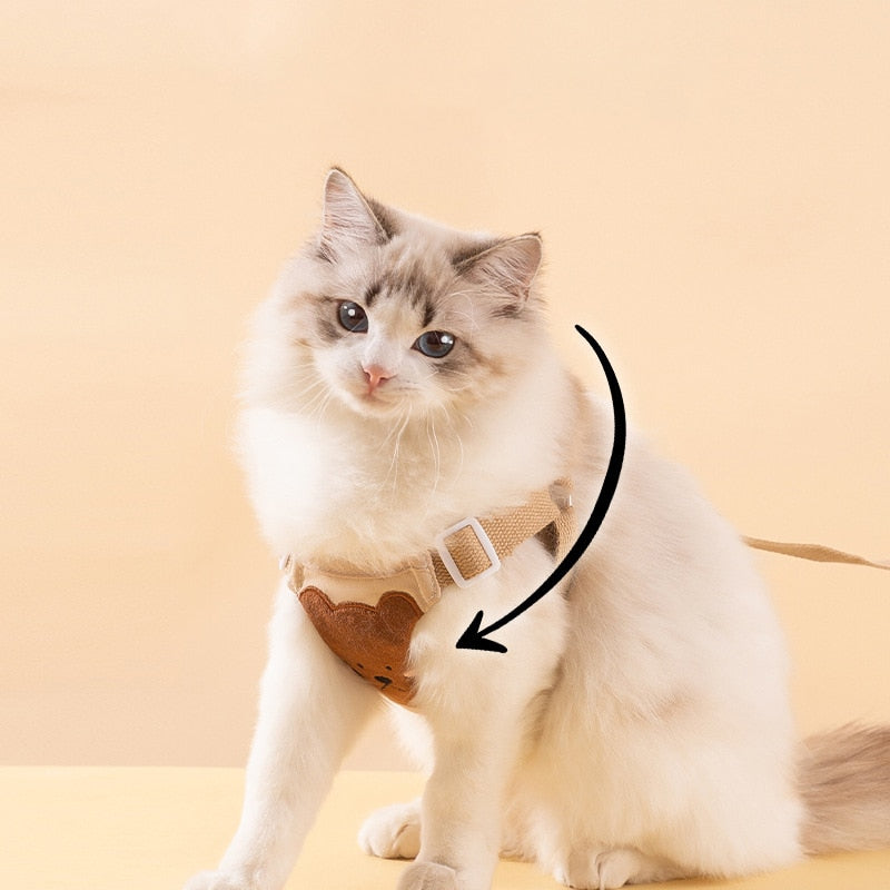 Adjustable Dog & Cat Collar and Leash Set with Lion & Bear Print – LoopLead™