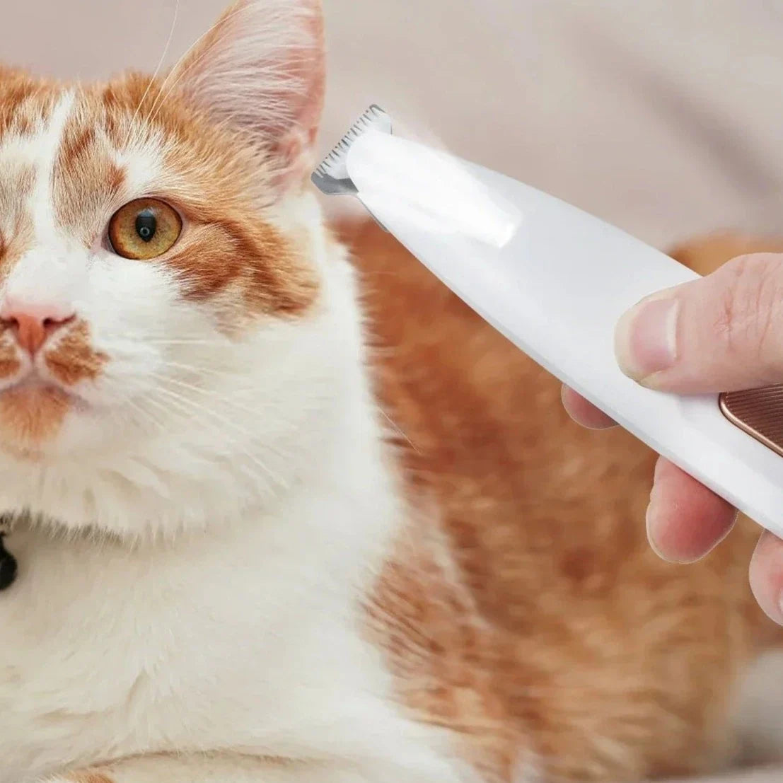 Cordless Electric Pet Fur Trimmer with LED Light – Snippo™